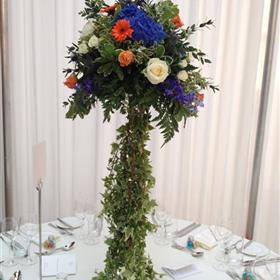 fwthumbblue and orange high.jpg